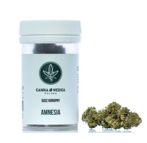 susz-konopny-cannamedica-amnesia-cbdking Susz konopny Cannamedica Amnesia