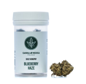 susz-konopny-cannamedica-blueberry-haze-cbdking Susz konopny Cannamedica Blueberry Haze