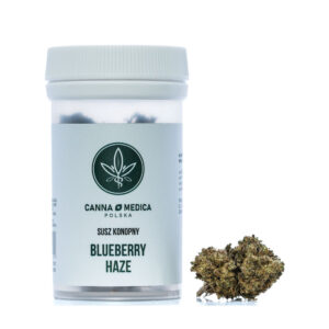 Susz konopny Cannamedica Blueberry Haze