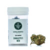 susz-konopny-cannamedica-charlottes-web-cbdking Susz konopny Charlotte's Web
