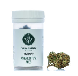 susz-konopny-cannamedica-charlottes-web-cbdking Susz konopny Charlotte's Web