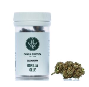 susz-konopny-cannamedica-gorilla-glue-cbdking Susz konopny Cannamedica Gorilla Glue