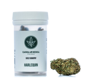 susz-konopny-cannamedica-harlequin-cbdking Susz konopny Harlequin