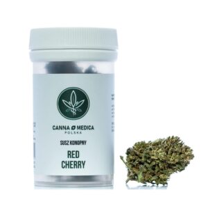 susz-konopny-cannamedica-red-cherry-cbdking Susz konopny Cannamedica Red Cherry