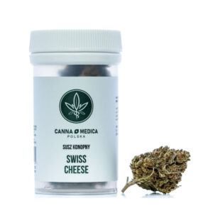 susz-konopny-cannamedica-swiss-cheese-cbdking Susz konopny Cannamedica Swiss Cheese