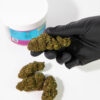 1 Susz Konopny CBD Gelato
