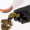 2 Susz Konopny CBD Orange Bud