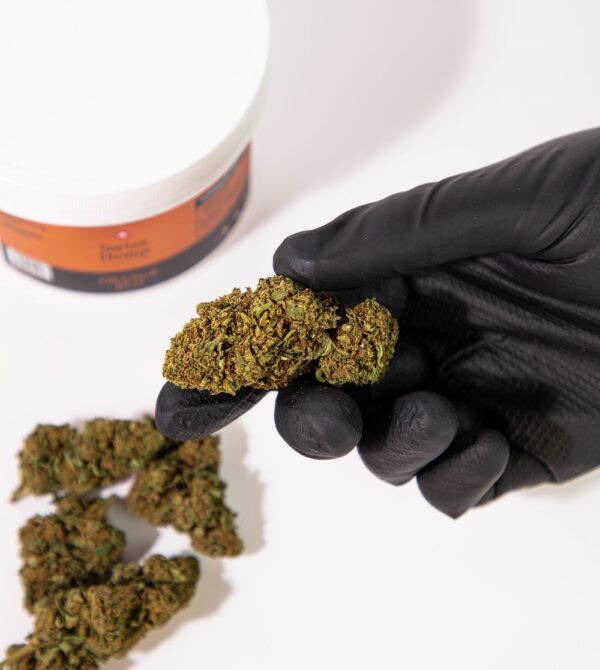2 Susz Konopny CBD Orange Bud