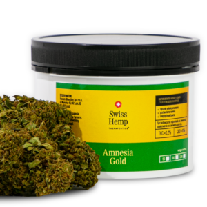 Susz Konopny CBD Amnesia Gold Susz Konopny CBD Amnesia Gold