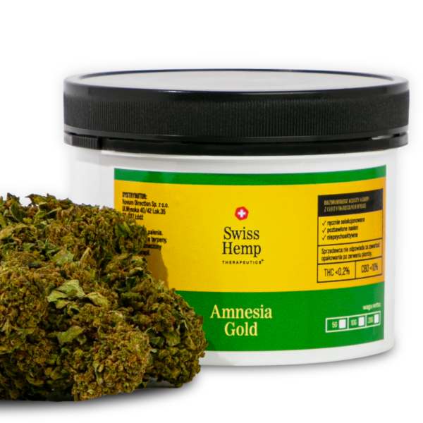 Susz Konopny CBD Amnesia Gold