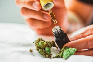 Dlaczego warto wybrać olej Swiss Hemp jako suplement diety?