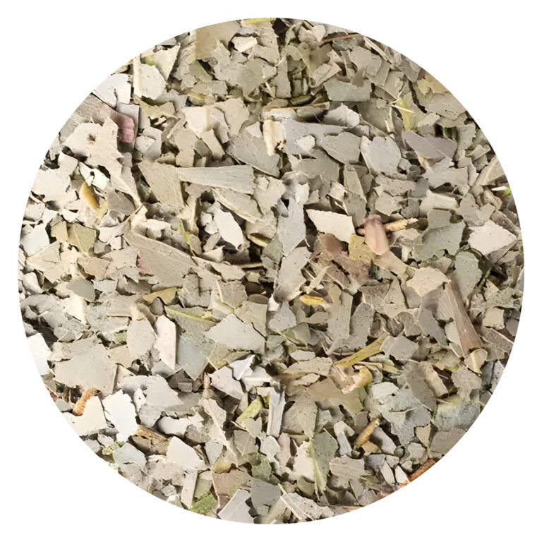 Melisa (Melissa officinalis)