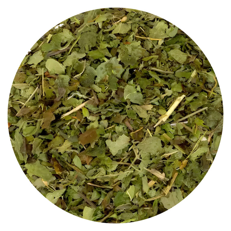 Melisa (Melissa officinalis)