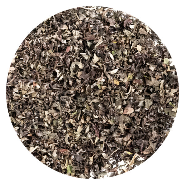 Web Mięta pieprzowa (Mentha piperita)