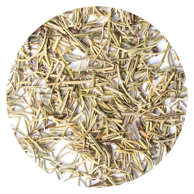 Melisa (Melissa officinalis)