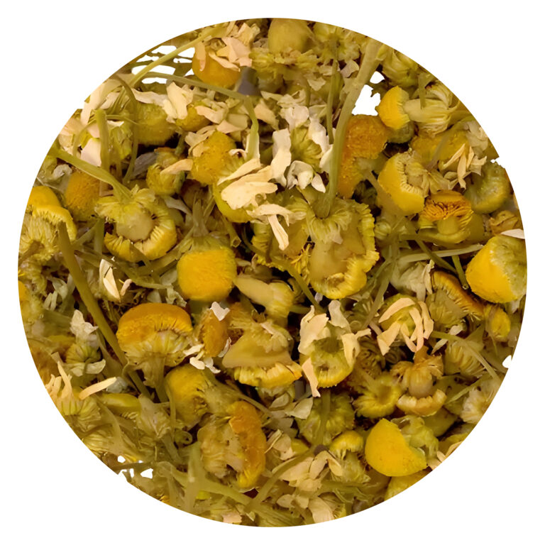 Melisa (Melissa officinalis)