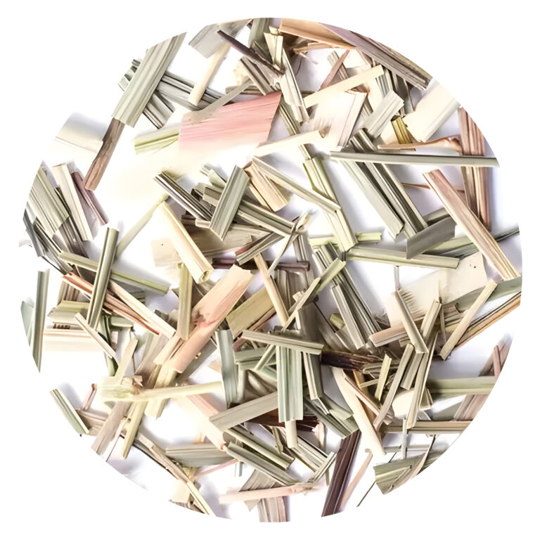 Melisa (Melissa officinalis)